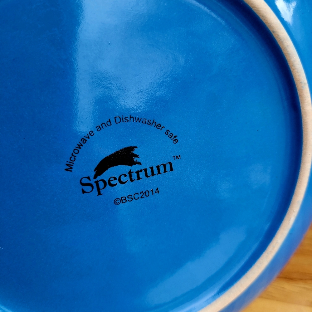 Intriguing Unique Pattern Spectrum Saucer - Picture 6 of 6